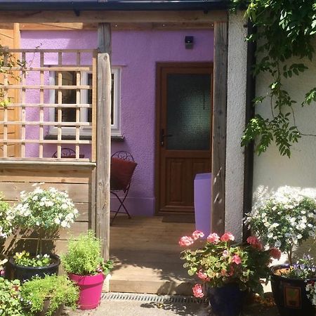Cute Self-Contained Guest Room With Ensuite And Private Decked Porch In Glastonbury Exteriér fotografie