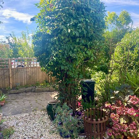 Cute Self-Contained Guest Room With Ensuite And Private Decked Porch In Glastonbury Exteriér fotografie
