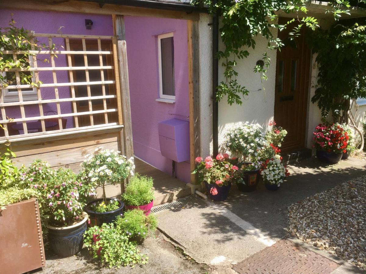 Cute Self-Contained Guest Room With Ensuite And Private Decked Porch In Glastonbury Exteriér fotografie
